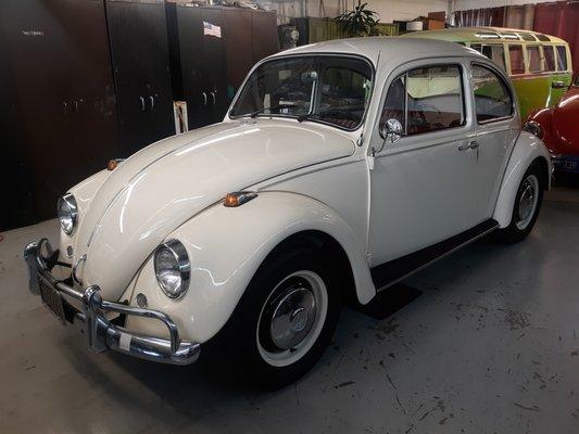 Beautiful VW Bug