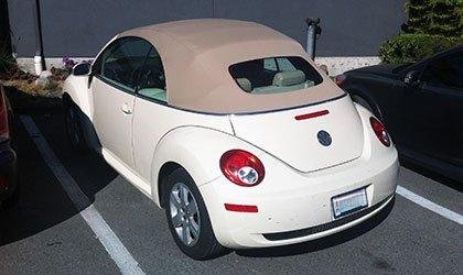 my dream beetle