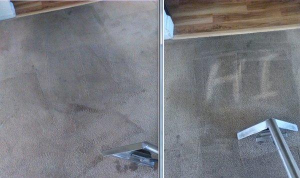 Carpet Cleaning  Mountain View