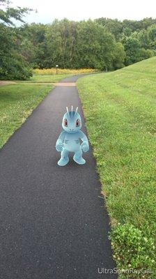 I love the walking trail here. Also, I found a Machop while strolling along here! It is a good Pokémon day!