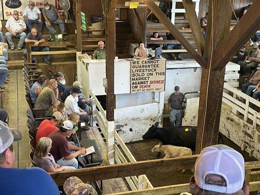 Narrows Livestock Market