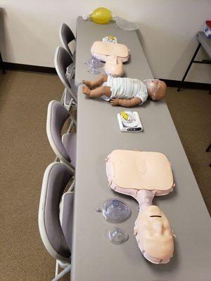 Cpr mannequins lined up ready for another class.