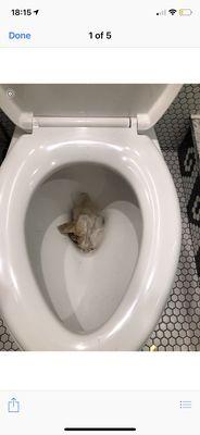 Installers threw paper towels in toilet and tried to flush them.