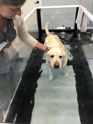 I think Huck was a bit nervous for his first time at water therapy.