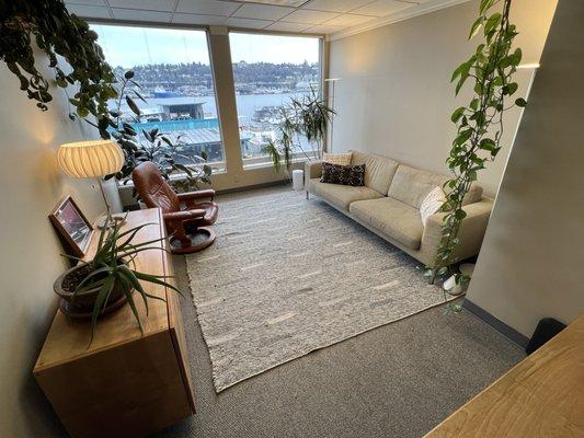 Beautiful and comfortable office with incredible view of Lake Union.  My West Lake Union office has abundant parking!