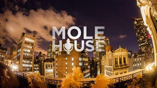 MoleHouse Post