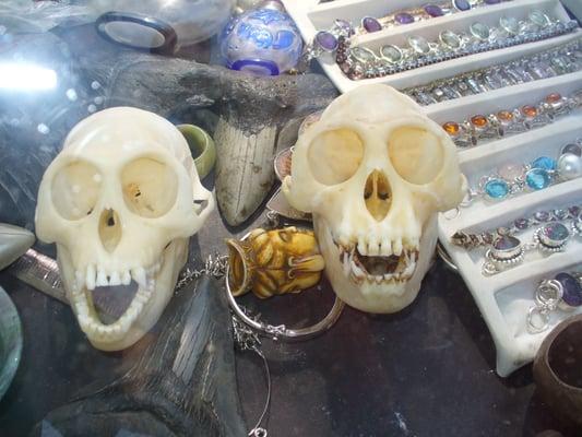 His and Hers money skulls