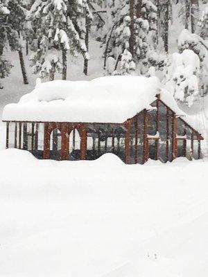 Colorado Snow Nantucket