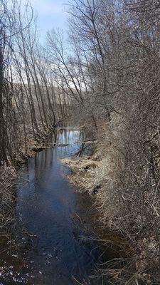 Stream at the edge of Brook Farm, bordering Milennium Park