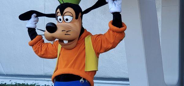 Goofy at our home away from home: Disney World