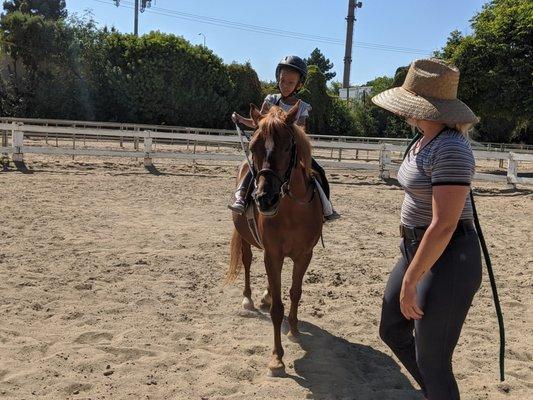 Equestrian In Training