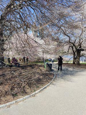 Historical New York City Central Park Scooter and Bike Tours