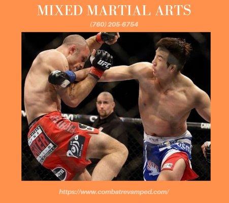 Mixed Martial Arts