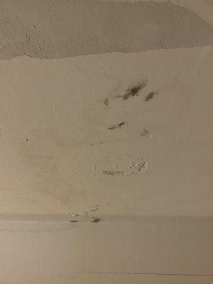 Mold growing on ceiling 4 days after the water heater above burst