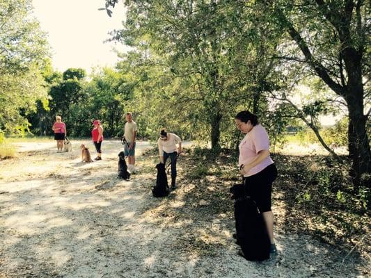 Group class: Focus on handler as dogs do the weaving exercise in and out the line