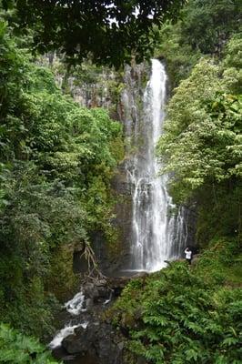 Multiple Waterfall hikes to choose from.