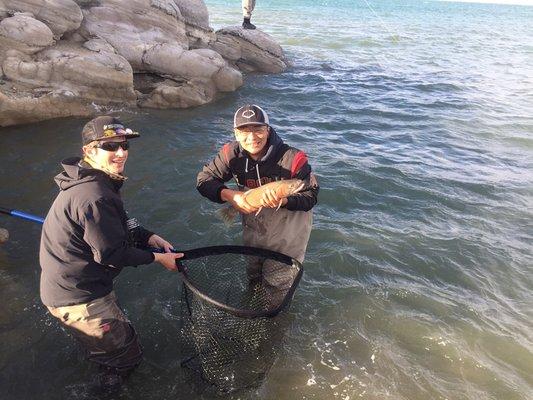 Pyramid Lake Cutthroat Trout