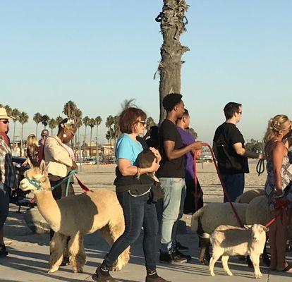 Rosie’s Dog Beach. The Blessing of the Animals.