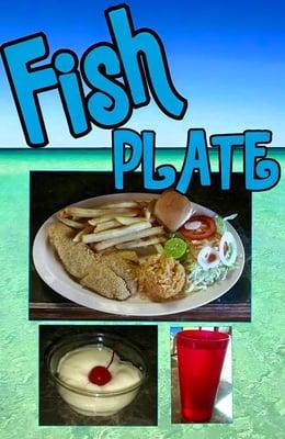 Fish Plate