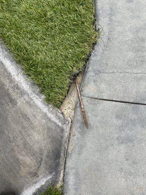 Poor job installing turf, nails popping out everywhere.