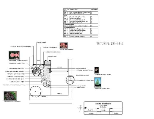 An example of a Black and White Planting Plan