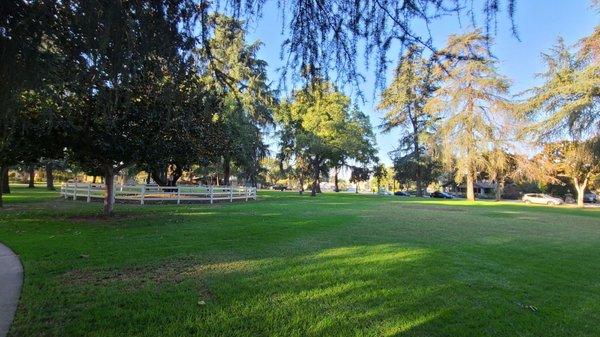 Very clean. Just take note they clean the park and mow/trim the grass every Tuesdays.