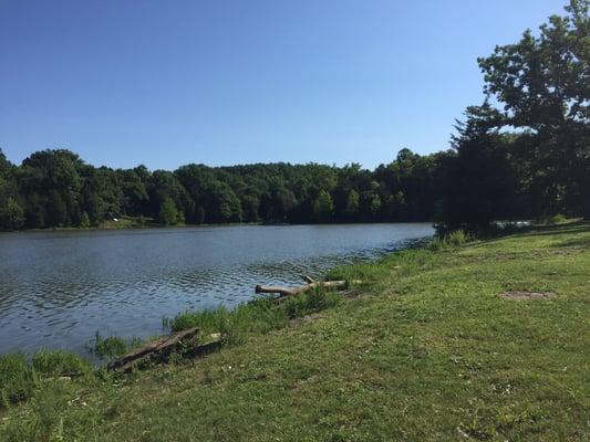 The water's edge, near the pool. It looks like a good place to fish.