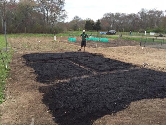 Screened leaf compost