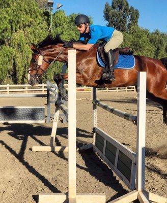 Jumping Spudley under the guidance of trainer Lauren Vogel