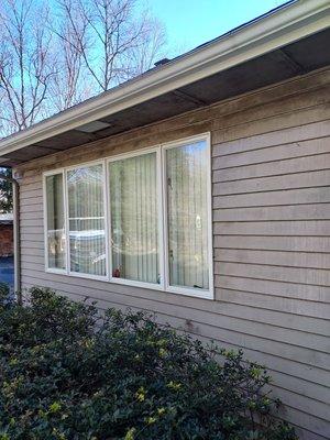 painted home full of black mold