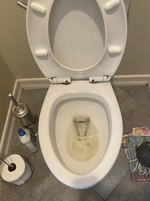 Dirty toilet