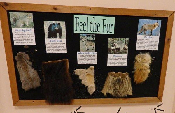 Feel the Fur