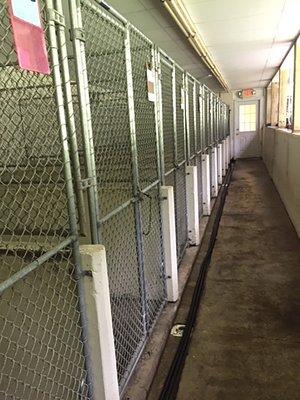 kennels with outside access