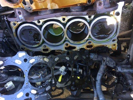 Head gasket leaking