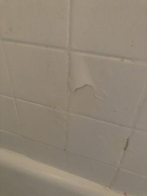 Paint peeling while I take a shower every night. I am covered with paint peels at the end of my shower