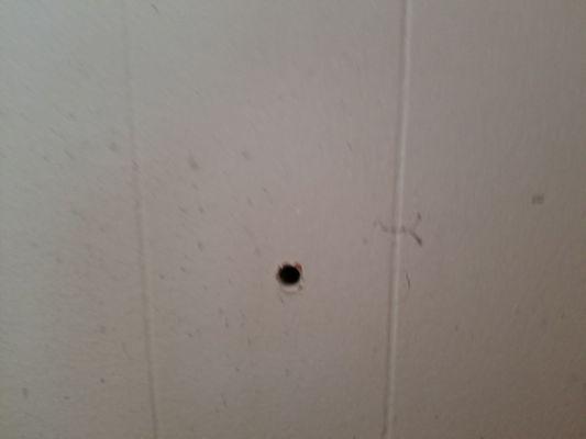 These are the holes they drilled IN MY WALL. My neighbor with the shared wall is the one with bed bugs.  I came home to holes