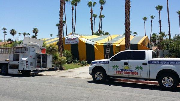 Tent for Termite Control