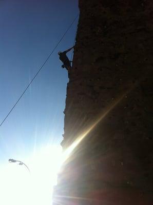 Climbing up the wall.