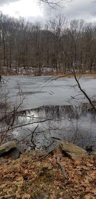 Lake View, along the hiking trail.