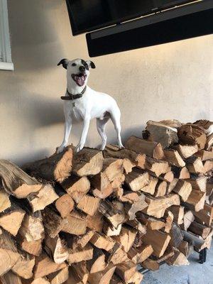 Everyone loves the wood from Artesia Fertilizer!