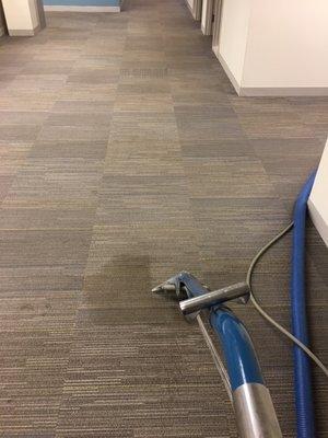 nast carpet stain removal, now you see it , now you dont!