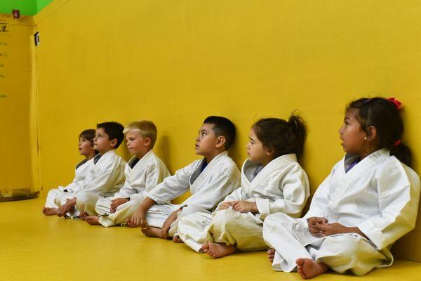 Kids BJJ Brazilian JIu Jitsu Westchester Greenwich Stamford