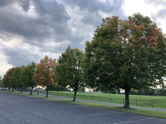 It's starting to show it's "Fall" colors here.  09.18.2022