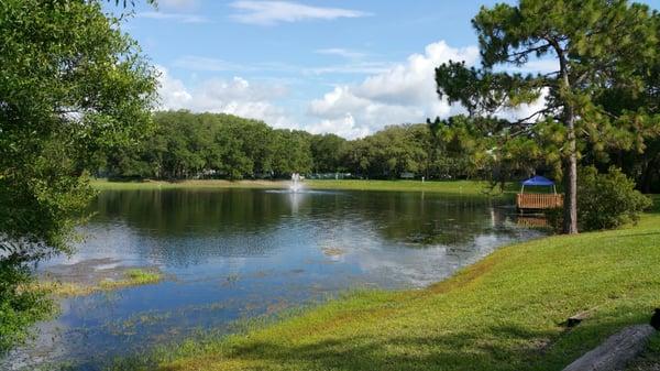 The lake near the sports field.