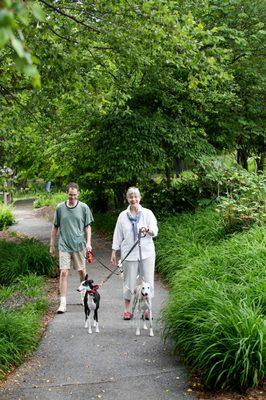 Collington is a pet friendly community which includes a dog park for our canine residents!