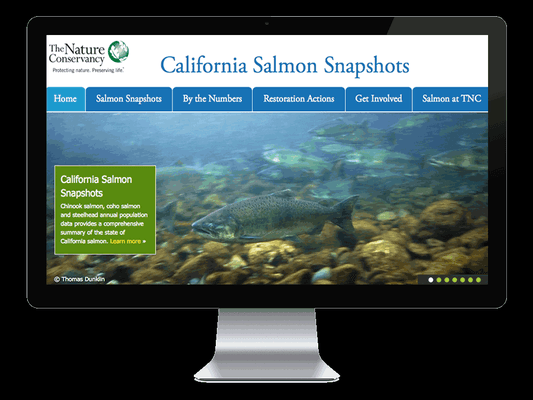 California Salmon Snapshots website for The Nature Conservancy