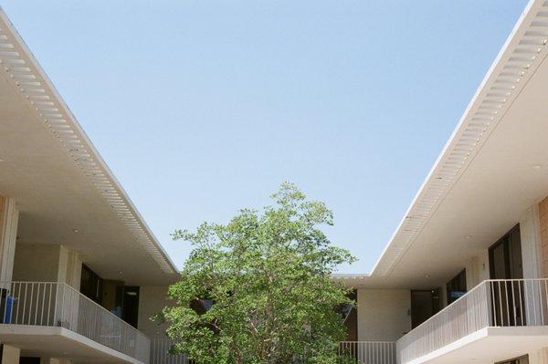 Classroom courtyard