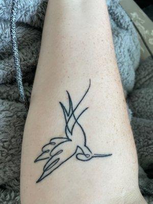 Lined Hummingbird... also it's fresh and healing