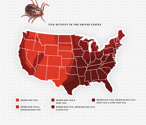 US map of tick populations