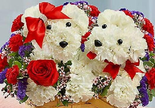 Lucky in Love
 (Two Dogs setted with Flowers in a basket....)